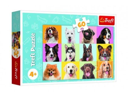 PUZZLE PSI 60D  89017374