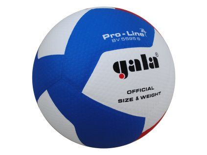 MÍČ GALA VOLEJBALOVÝ PRO LINE 12 PANELŮ   BV5595S