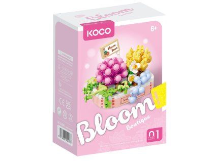 STAVEBNICE MINI KOCO SUKULENTY  800648