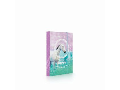 Box na sešity A4 Jumbo kůň romantic 5-71026