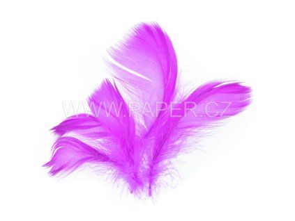 229011 PERI FIALOVE 10G    LI