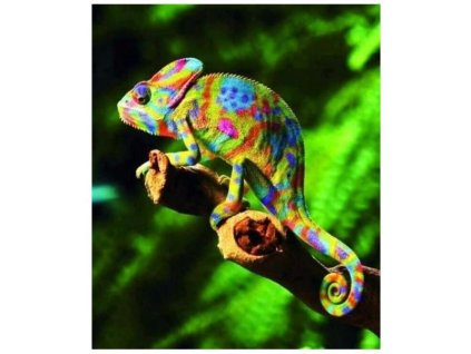 MAGNET 3D 22046 CHAMELEON 086