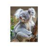 MAGNET 3D 22046 KOALA 555