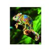 MAGNET 3D 22046 CHAMELEON 086